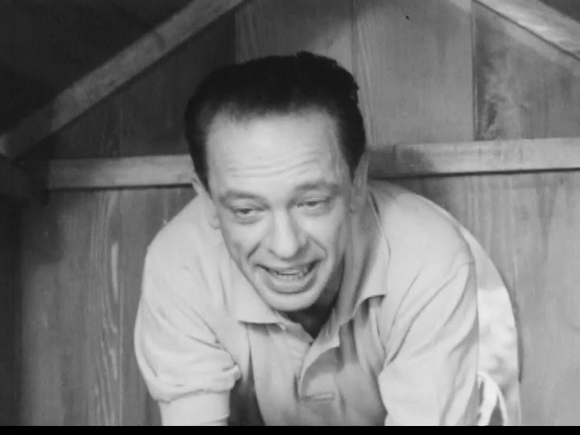 TV COMMERCIAL **Gaines Burger Dog Food** with DON KNOTTS 1965 